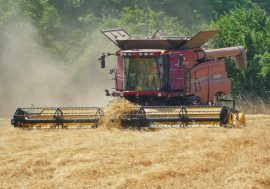 Podnikatelé v zemědělství mohou požádat o podporu kvůli dopadům koronaviru